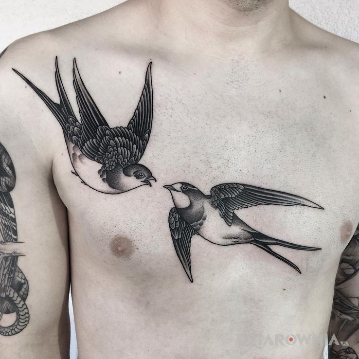 Tatuaż jaskółki - zwierzęta
