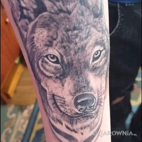 Mój początek z tatuażami