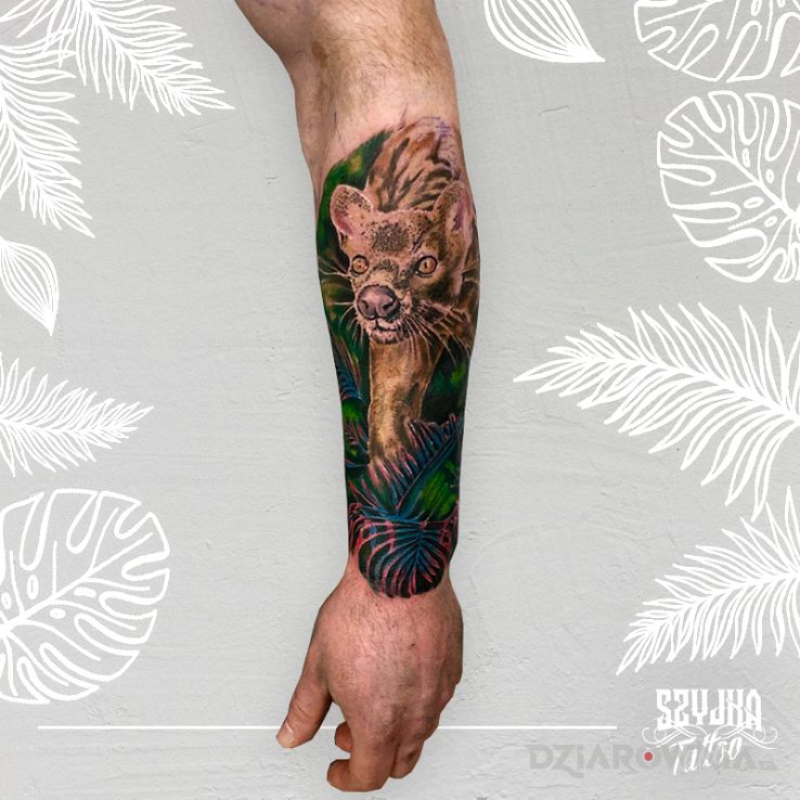 Tatuaż fossa - kolorowe