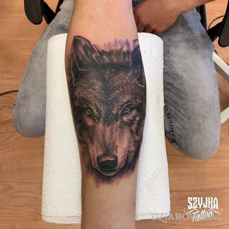 Tatuaż wilczysko in progress - realistyczne