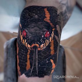 Czerwone oczy węża