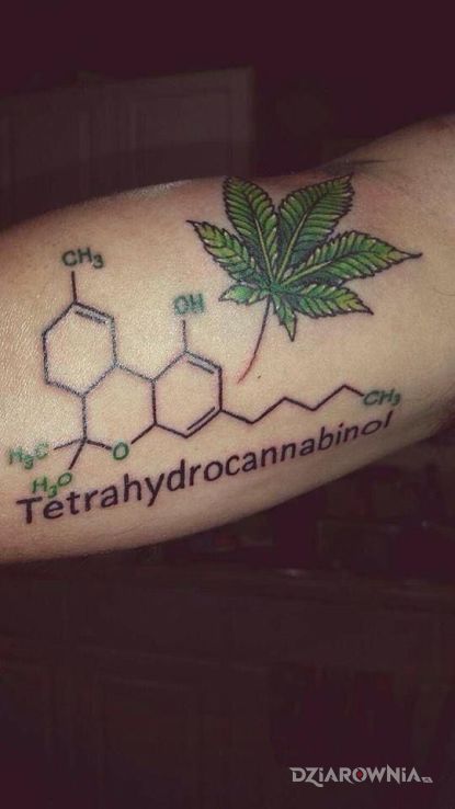 Tatuaż canabis - napisy