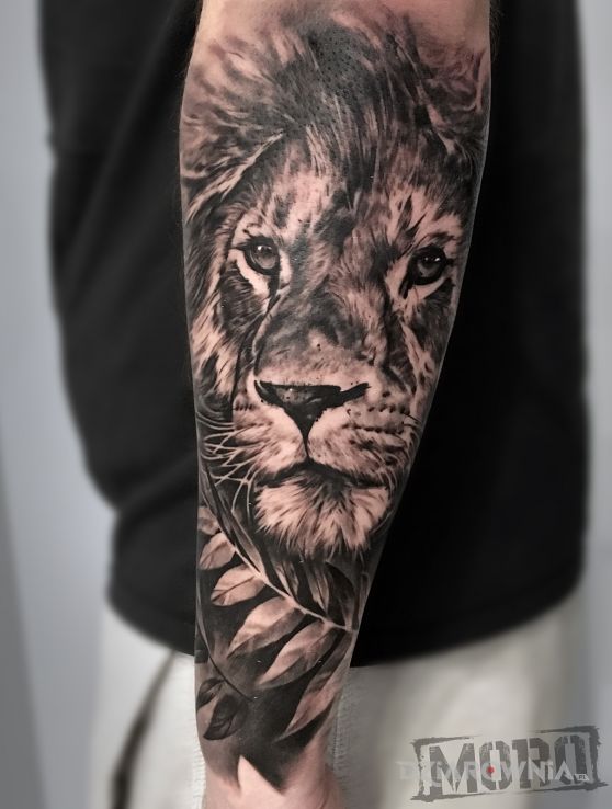Tatuaż lew - realistyczne