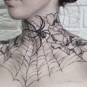 Pajęczynka i pająk