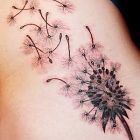 Dmuchawiec na wietrze