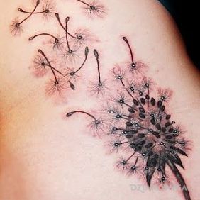 Dmuchawiec na wietrze