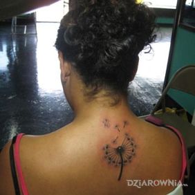 Dmuchawiec na plecach