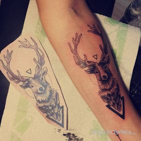 Poroże jelenia i strzała