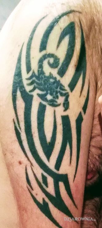 Tatuaż tribal - tribale