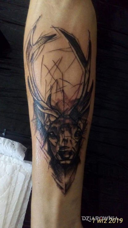 Tatuaż jeleń - anatomiczne