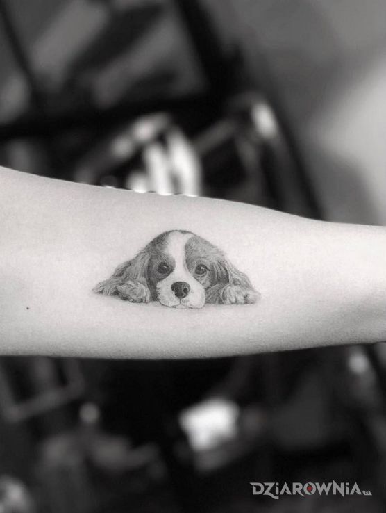 Tatuaż piesek - zwierzęta