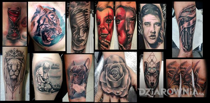 Tatuaż kilka - zwierzęta