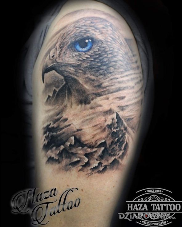 Tatuaż sokół - zwierzęta