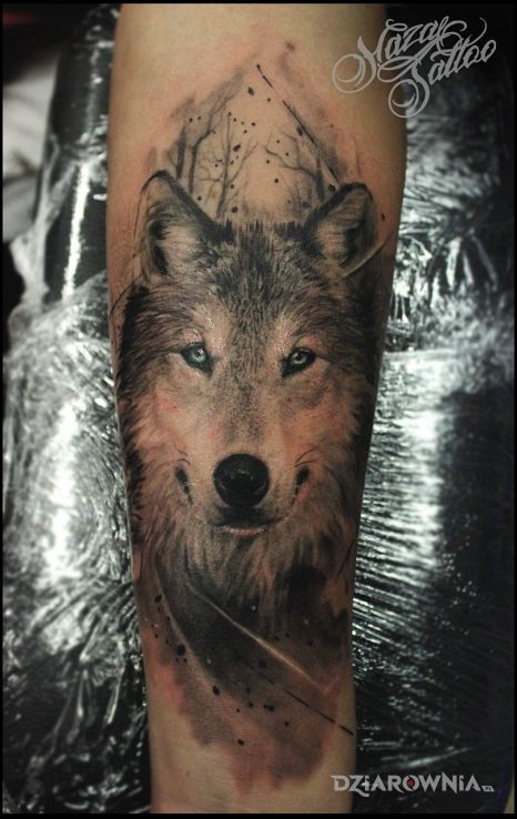 Tatuaż wilk - zwierzęta