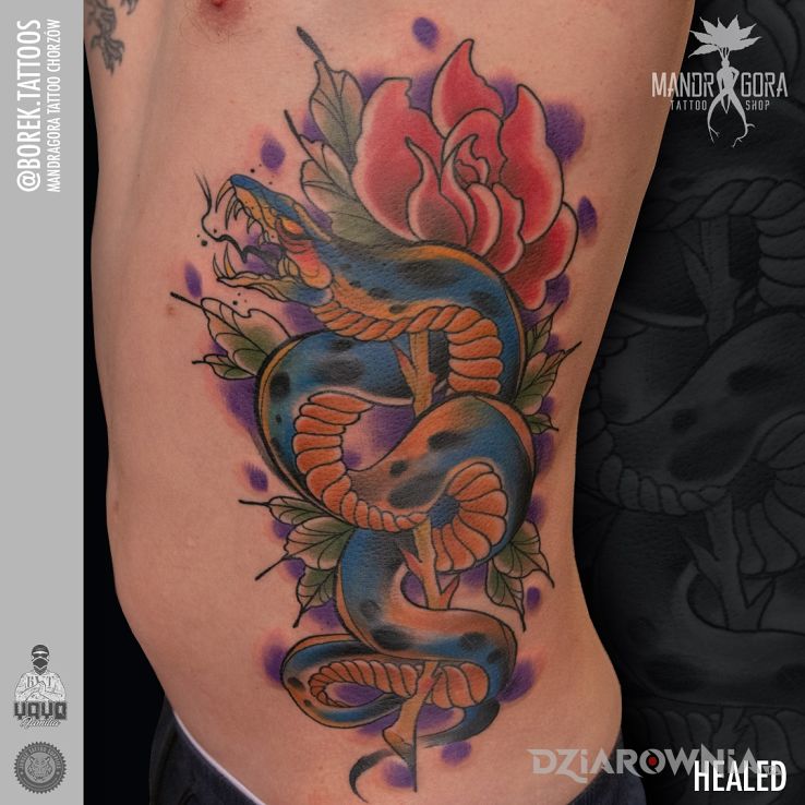 Tatuaż neotradycyjny wąż - kolorowe