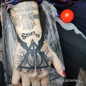 Harry Potter, insygnia śmierci, Severus