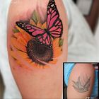 Cover motyl, słonecznik