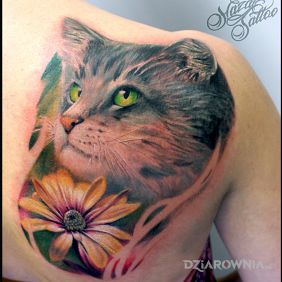 Kot, Kotek, Koteczek