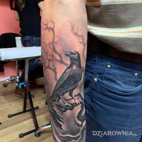 Zaraz po zrobieniu - kruk