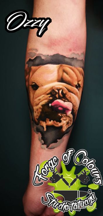 Tatuaż buldog angielski - 3D