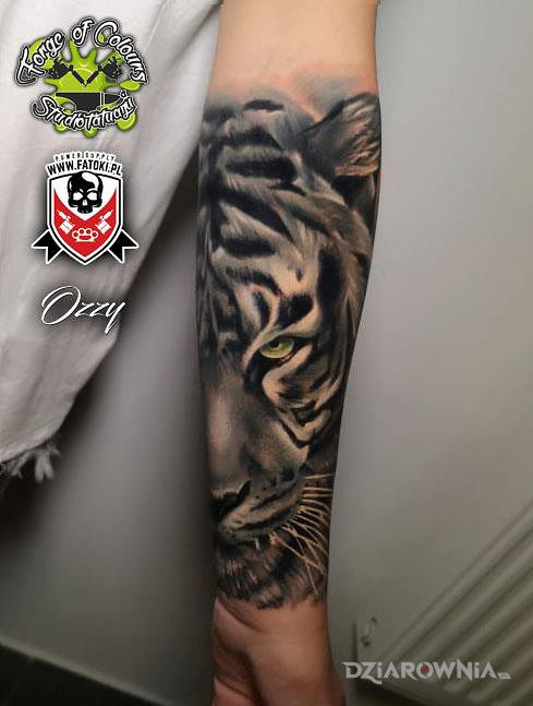 Tatuaż tygrys - zwierzęta