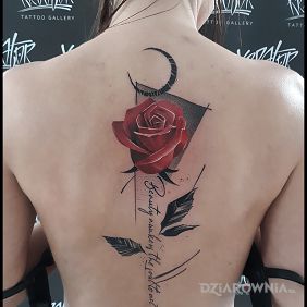 ?? Rose / Moon / Abstraction