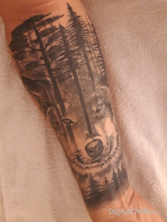 Tatuaż wilk - zwierzęta