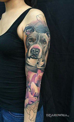 Tatuaż śliczny amstaff - zwierzęta