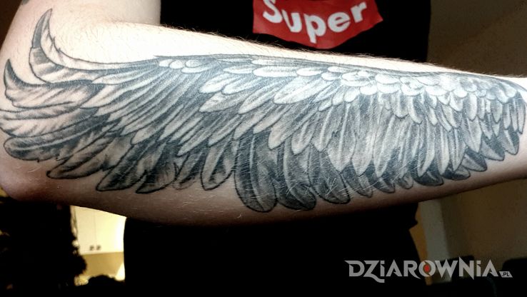 Tatuaż skrzydlo - czarno-szare