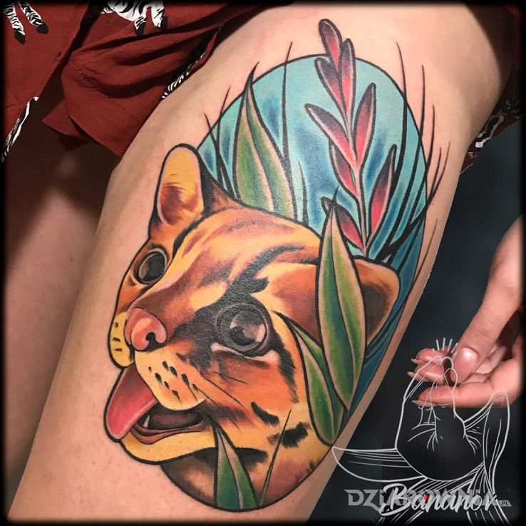 Tatuaż koteł - zwierzęta