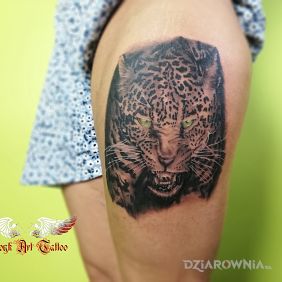 Coś dla biegających :-)