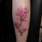 Magnolia