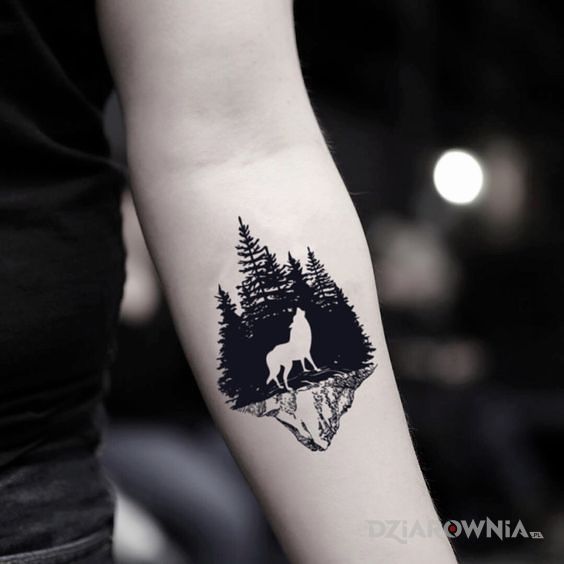 Tatuaż bialy wilk - zwierzęta