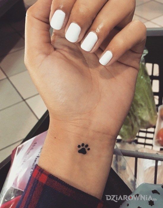 Tatuaż łapka - pozostałe