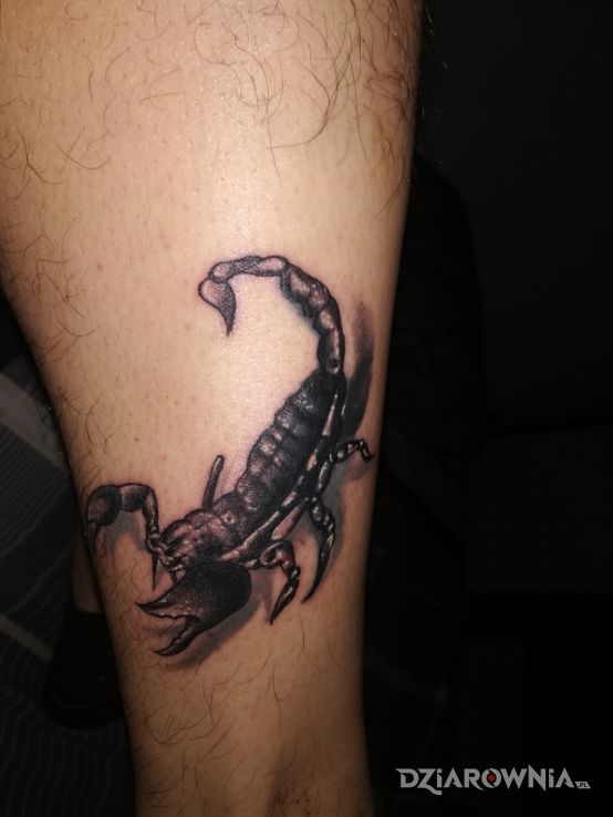 Tatuaż skorpion - 3D