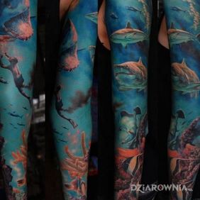 Podwodna perspektywa