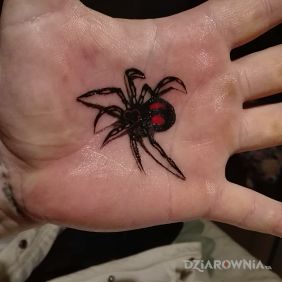 Pierwszy w tym miejscu!