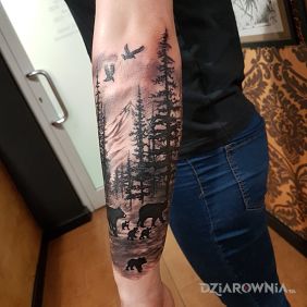 Las z niedźwiedziami