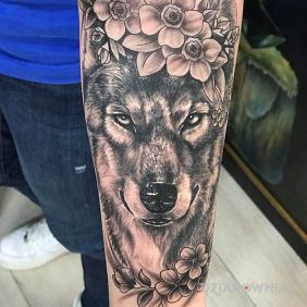 Wilk wśród kwiatów