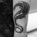 Wycena tatuażu - Wycena tatuażu - przedramie (waż i sztylet)