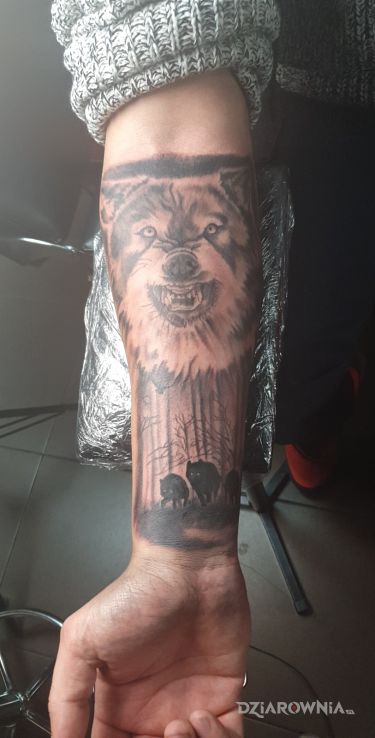 Tatuaż wilk - zwierzęta