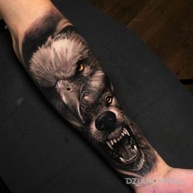 Orzeł / Wilk
