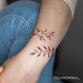 Gałązki dookoła przedramienia