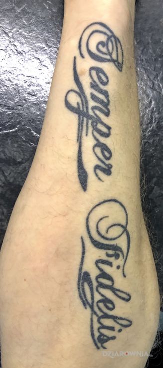 Tatuaż semper fidelis - napisy