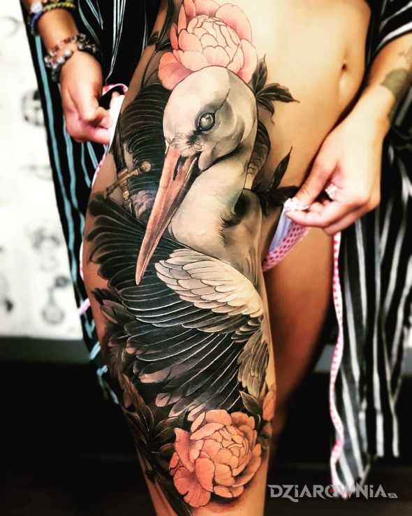 Tatuaż czy to bocian - kolorowe