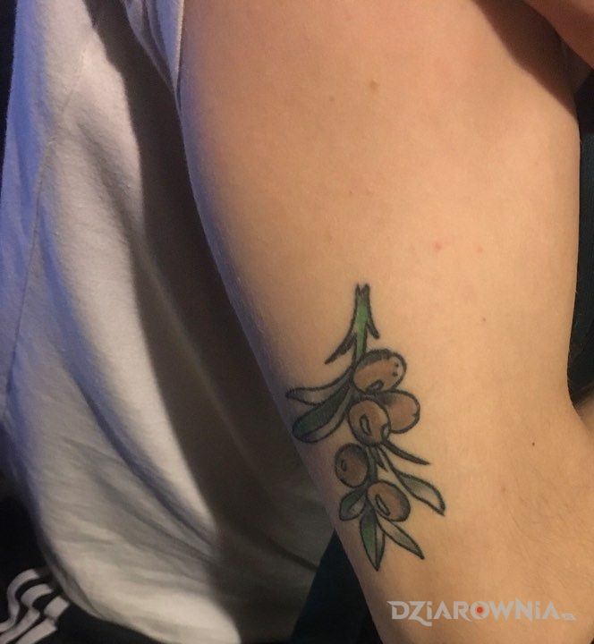 Tatuaż oliwki - pozostałe
