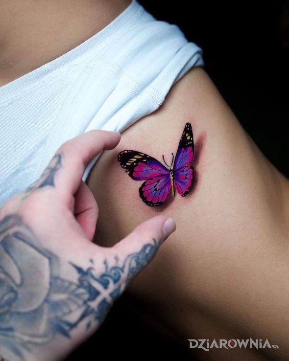Tatuaż śliczny motyl - motyle