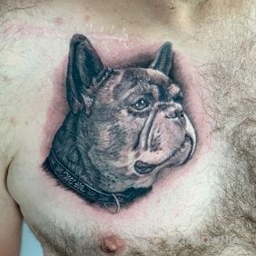 Ukochane zwierzątko