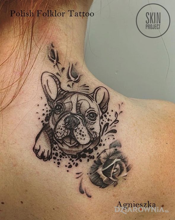 Tatuaż sunia - zwierzęta