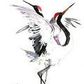 Wybór studia - Tatuaż z motywami Żurawi